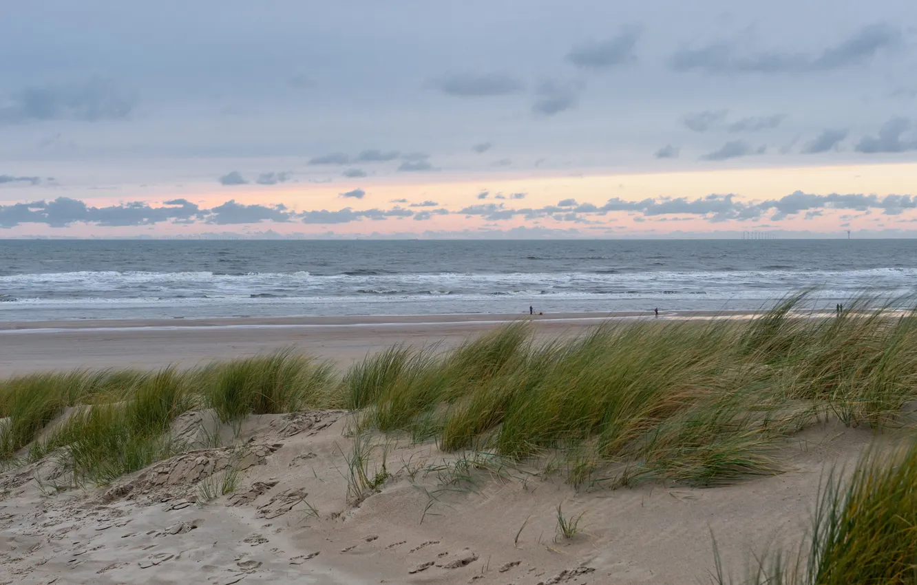 Photo wallpaper sea, sunset, dunes