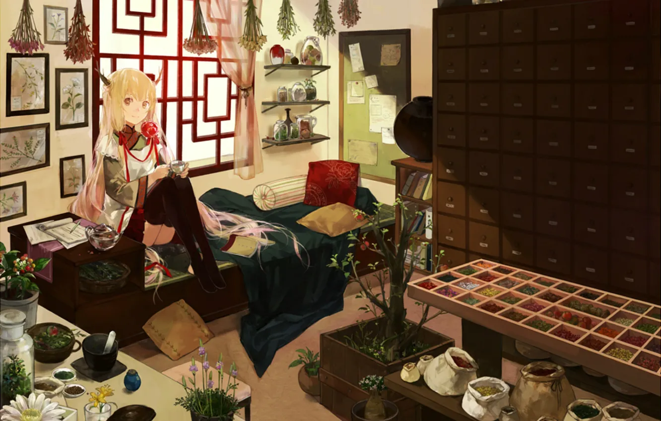 Photo wallpaper flowers, room, plants, stockings, window, girl, pictures, dishes