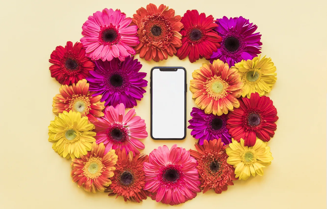Photo wallpaper flowers, spring, frame, colorful, chrysanthemum, flowers, smartphone, spring