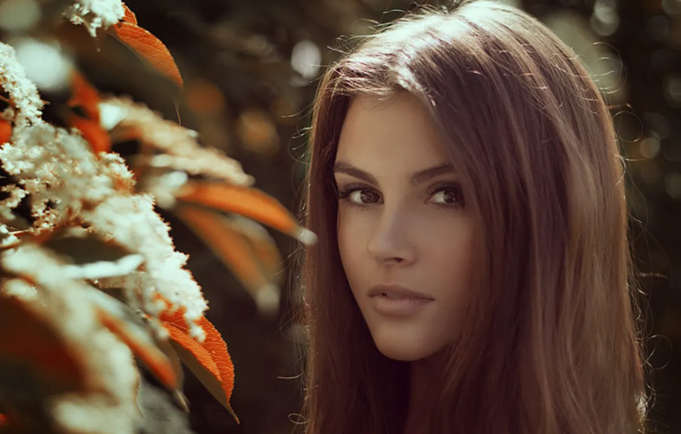 Photo wallpaper eyes, look, girl, flowers, face, hair, beauty, beautiful