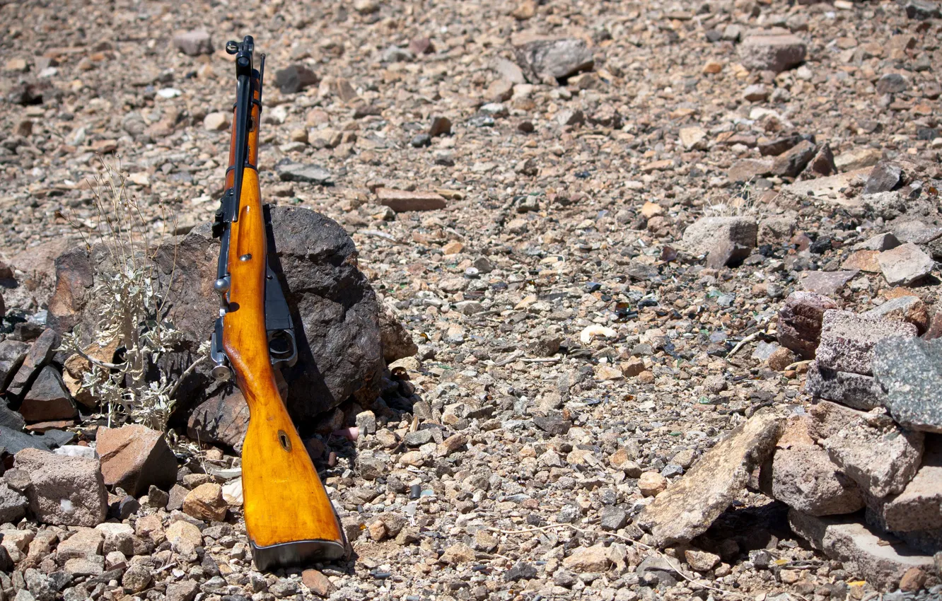 Photo wallpaper stones, rifle, Mosin, store, M44