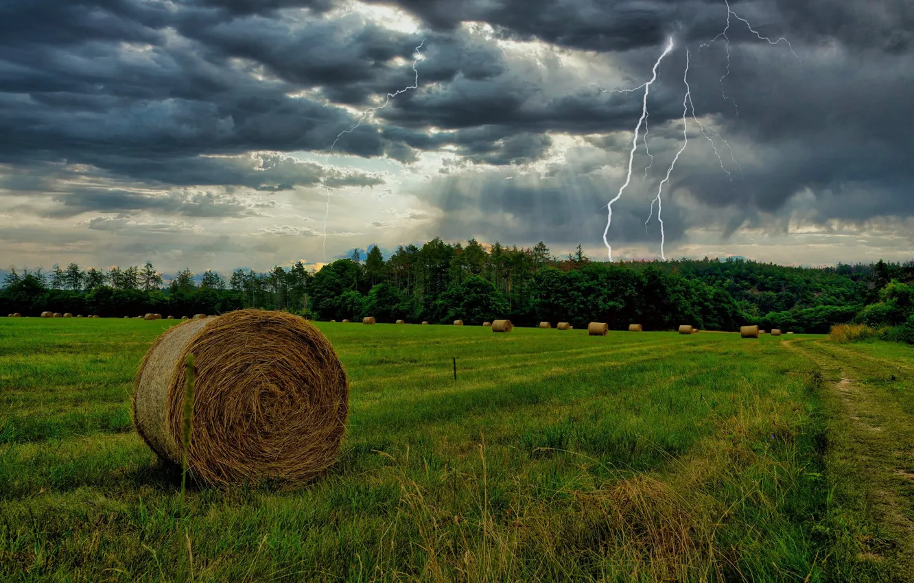 Photo wallpaper the storm, field, forest, clouds, rain, lightning, hay, bales