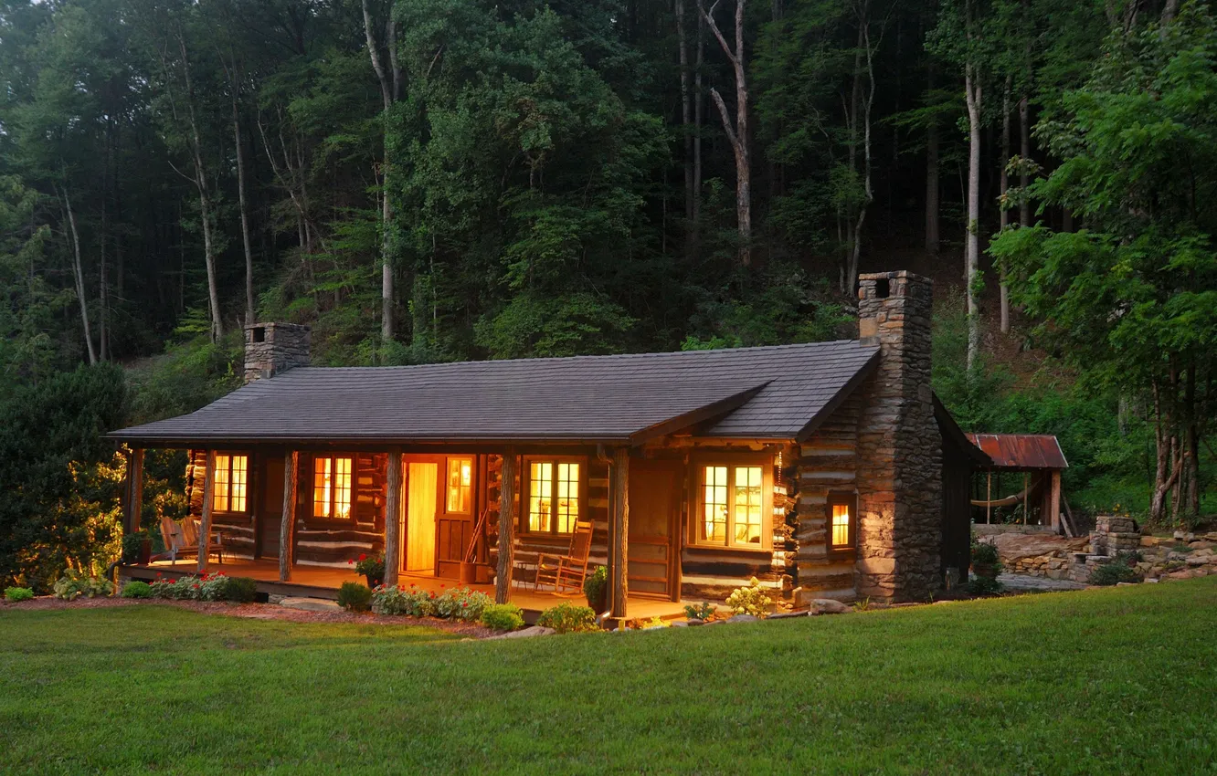 Photo wallpaper forest, grass, trees, nature, plant, home, the evening, hut