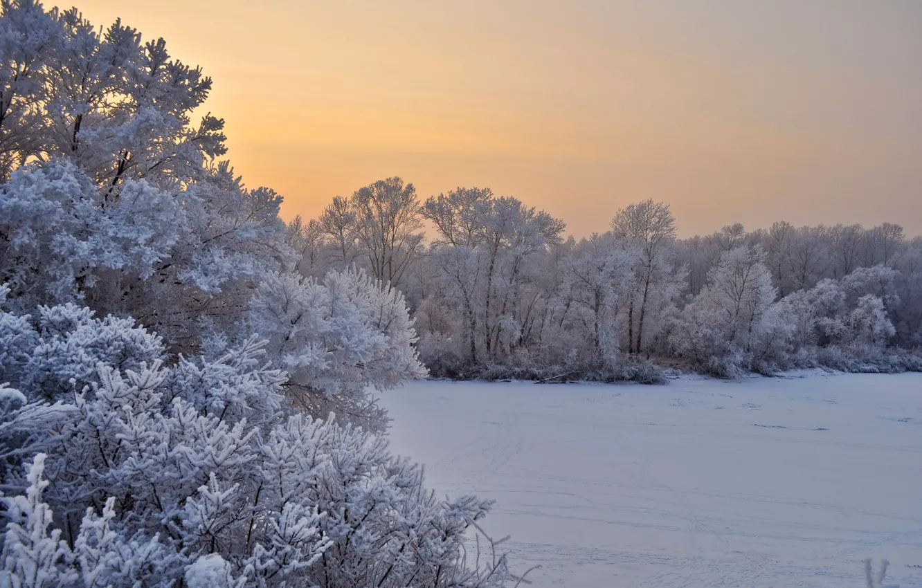 Photo wallpaper winter, frost, snow, trees, landscape, sunset, nature, the evening