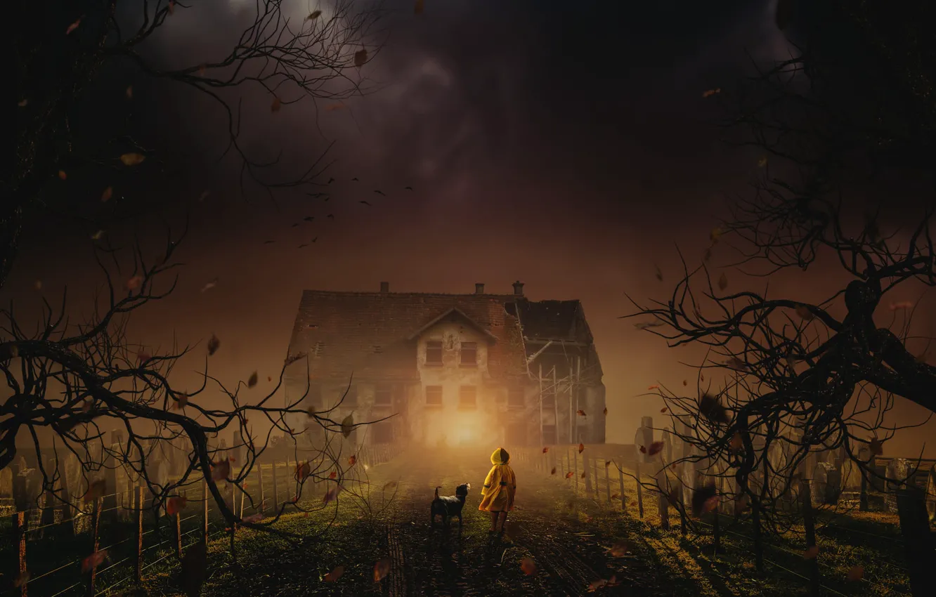 Photo wallpaper field, autumn, leaves, light, trees, night, branches, children