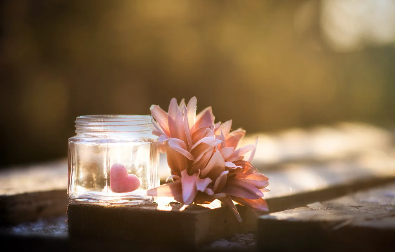 Photo wallpaper flowers, heart, Bank