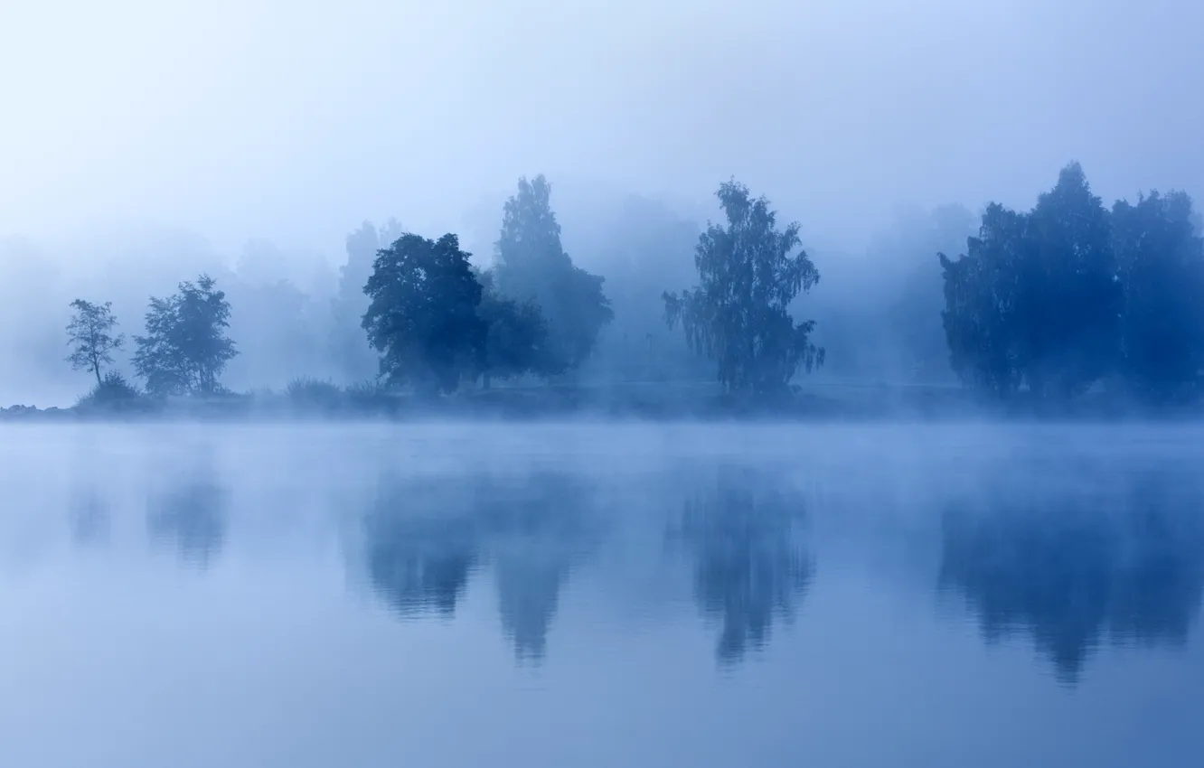 Photo wallpaper trees, fog, lake, morning, twilight