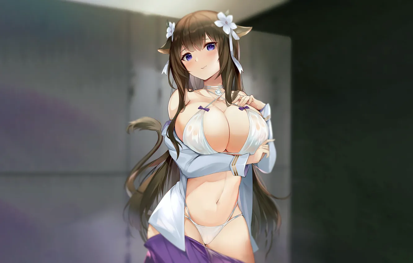 Photo wallpaper girl, sexy, lingerie, bra, cleavage, panties, long hair, brown hair