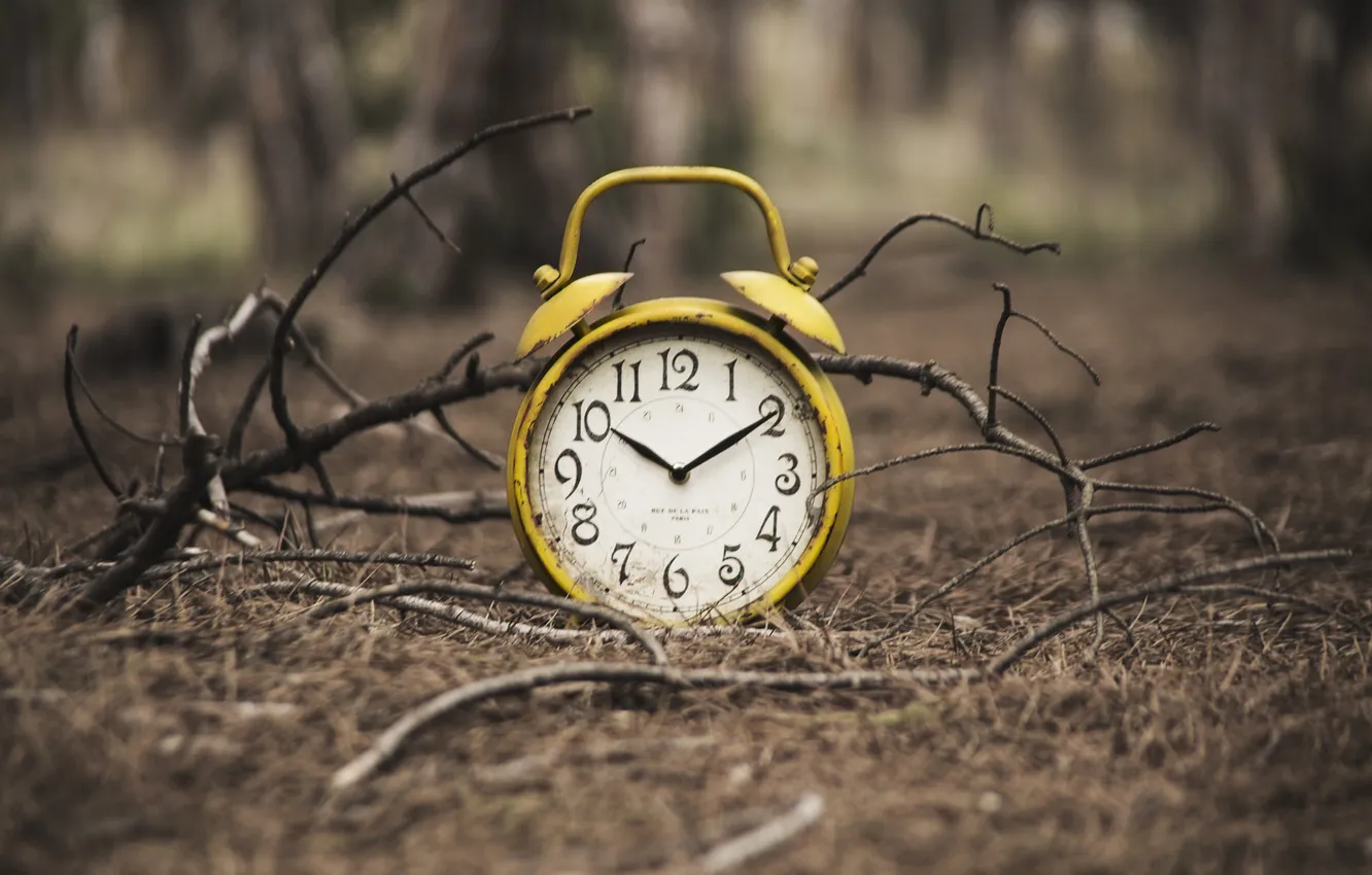 Photo wallpaper branches, time, background, watch