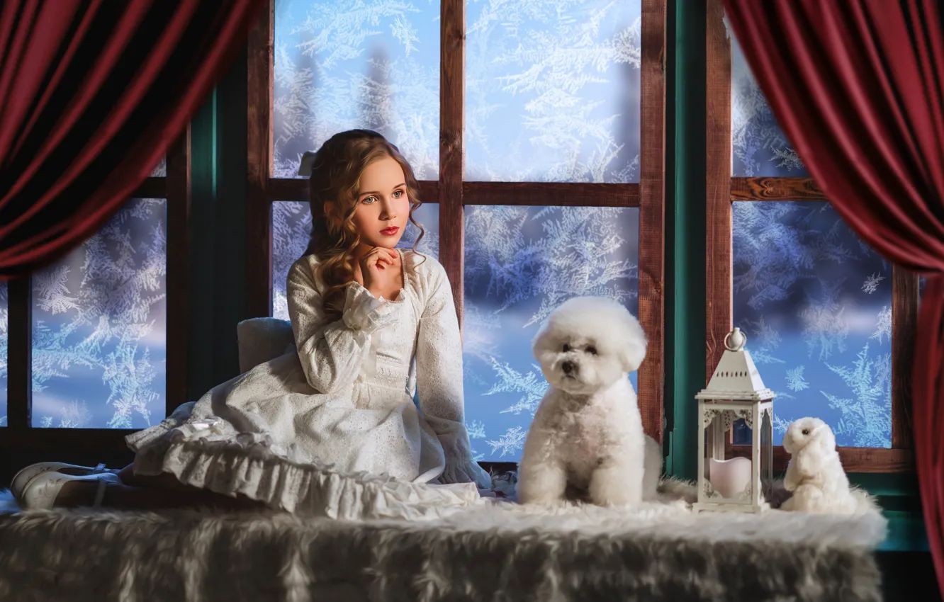 Photo wallpaper toy, dog, rabbit, dress, window, frost, lights, girl