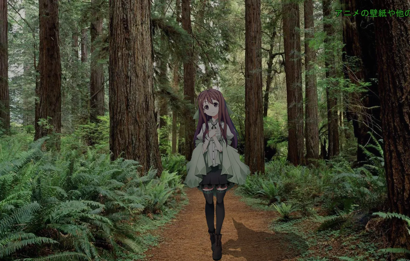 Photo wallpaper forest, girl, anime, madskillz