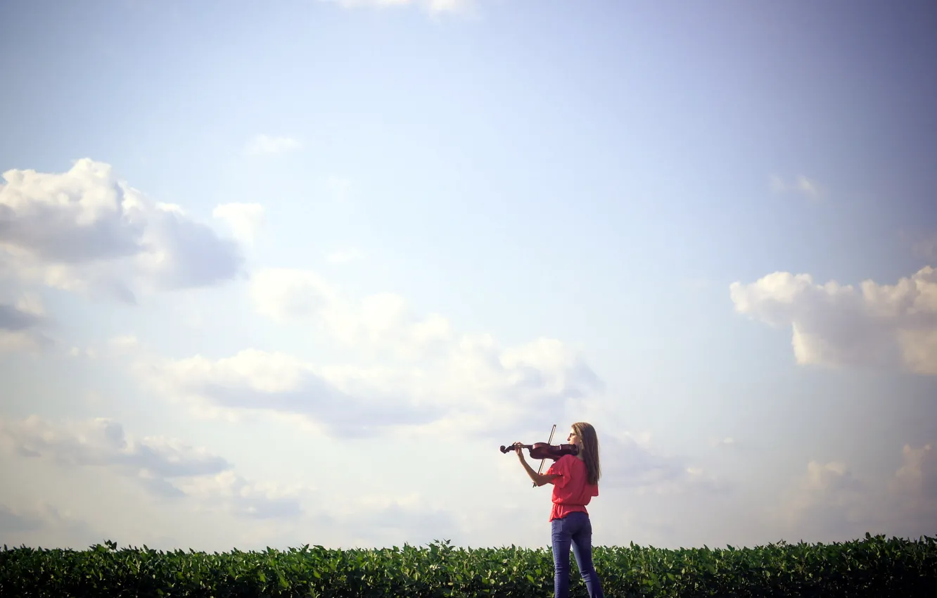 Photo wallpaper field, girl, music, violin