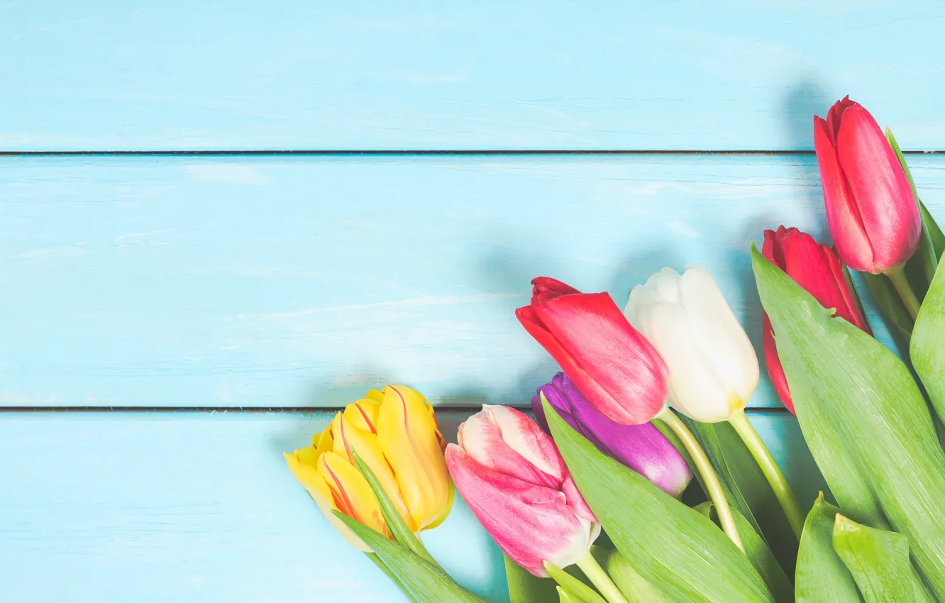 Photo wallpaper flowers, bouquet, colorful, tulips, wood, flowers, tulips, bouquet