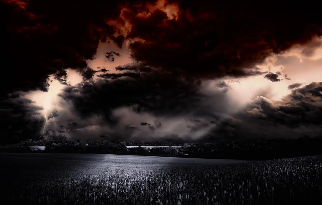 Photo wallpaper the storm, field, clouds