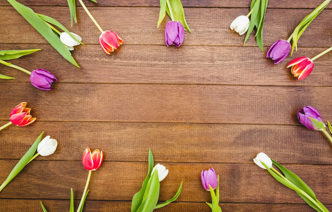 Photo wallpaper flowers, colorful, tulips, red, white, wood, flowers, tulips
