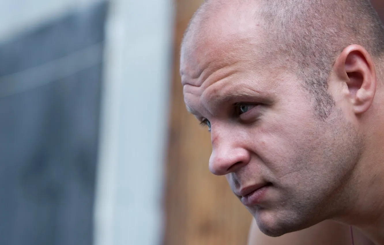 Photo wallpaper look, Fedor Emelianenko, MMA