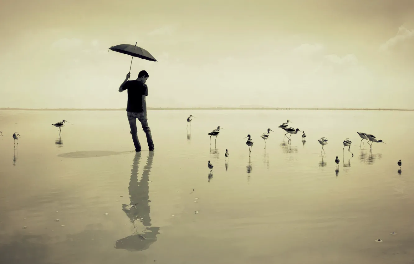 Photo wallpaper sea, birds, umbrella, guy