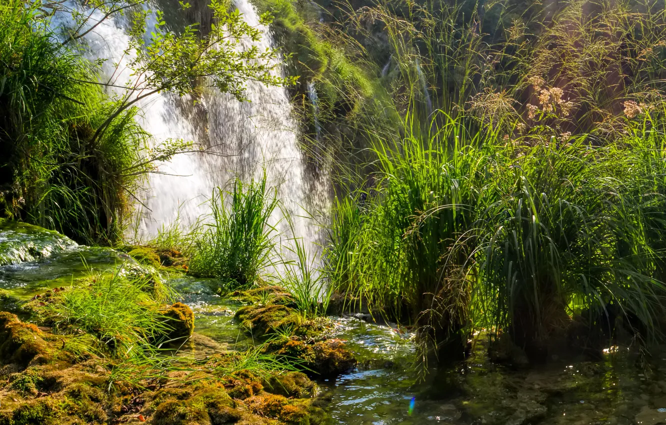 Photo wallpaper grass, waterfall, moss, Sunny, the bushes, Croatia, Plitvice National Park