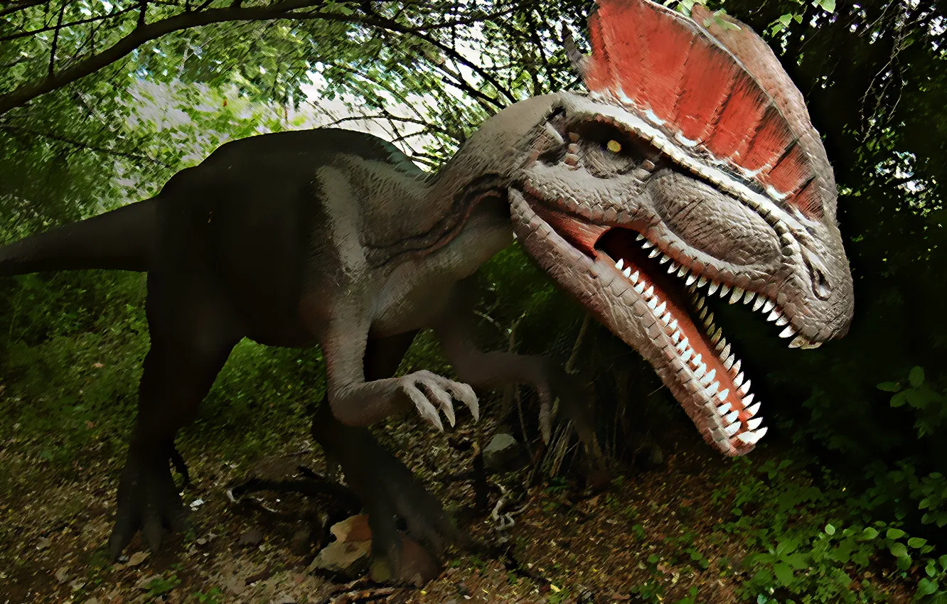 Photo wallpaper forest, dinosaur, teeth, mouth