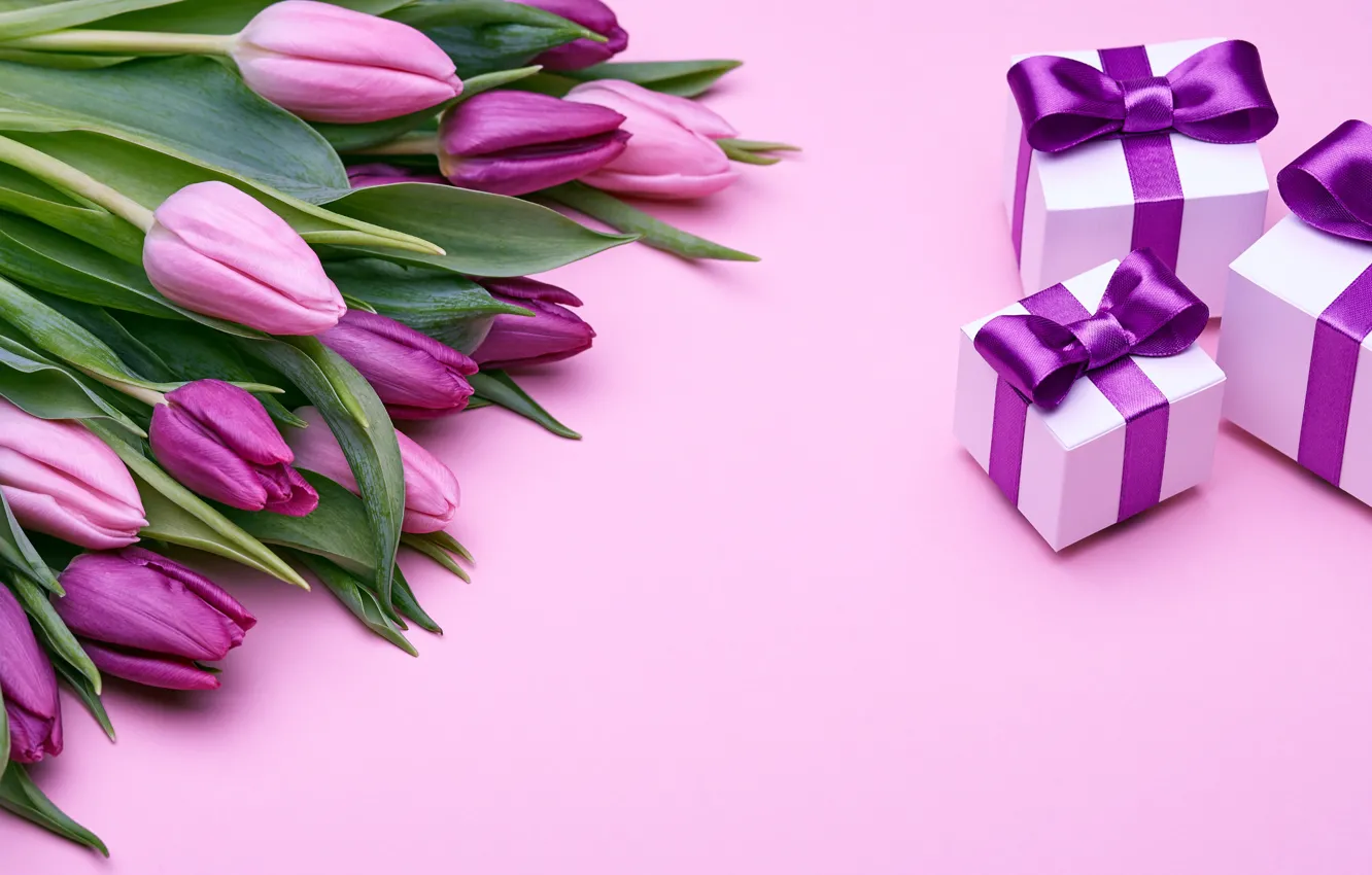 Photo wallpaper bouquet, gifts, tulips, love, pink, bow, fresh, pink
