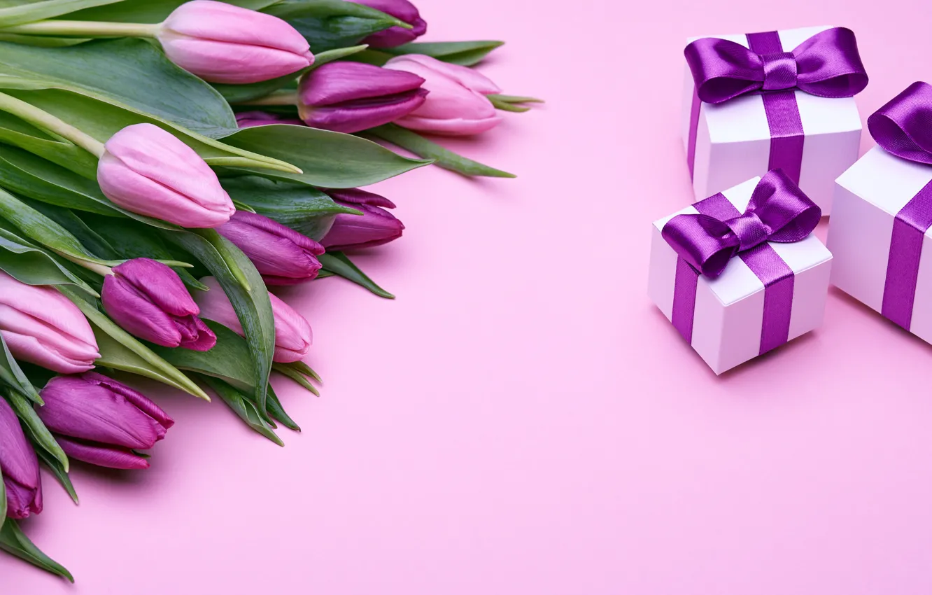 Photo wallpaper gift, bouquet, tulips, love, pink, bow, fresh, pink