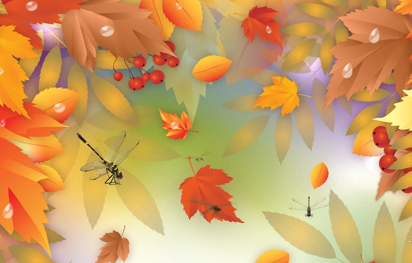Photo wallpaper autumn, leaves, berries, vector, dragonfly