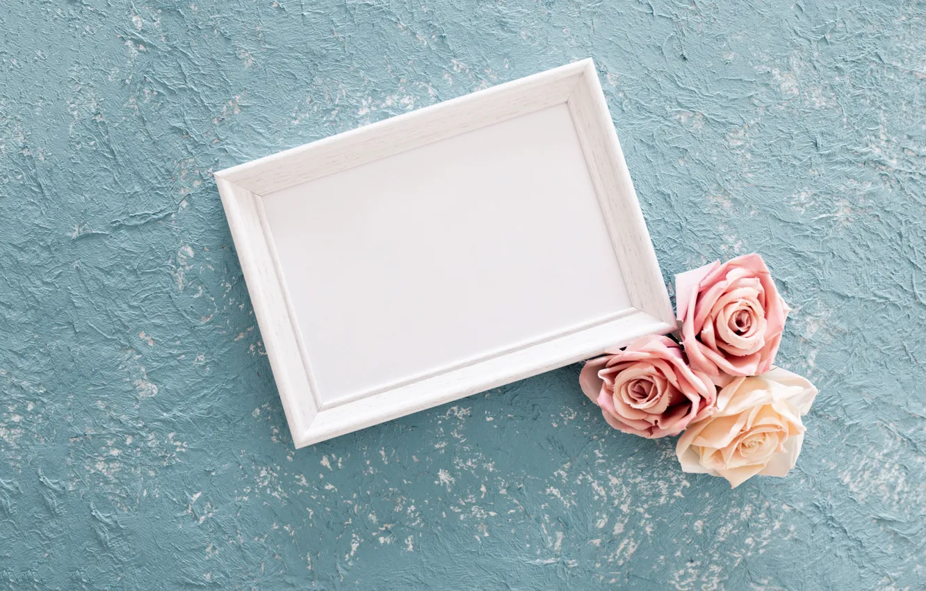 Photo wallpaper background, blue, roses, frame, pink, buds