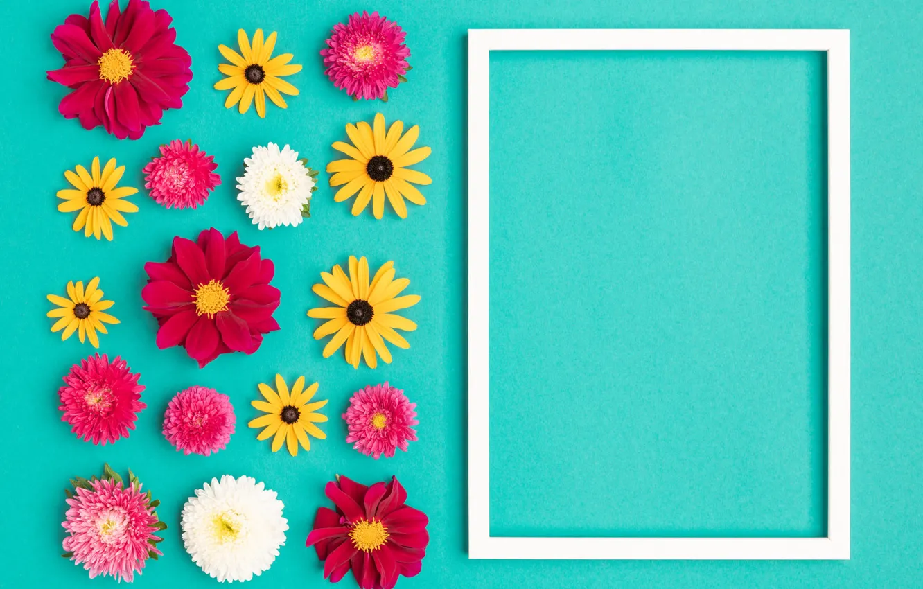 Photo wallpaper flowers, background, holiday, blue, color, frame, yellow, red
