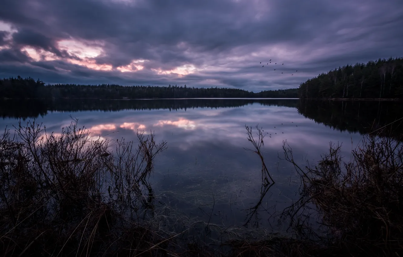 Photo wallpaper the sky, clouds, lake, reflection, the evening