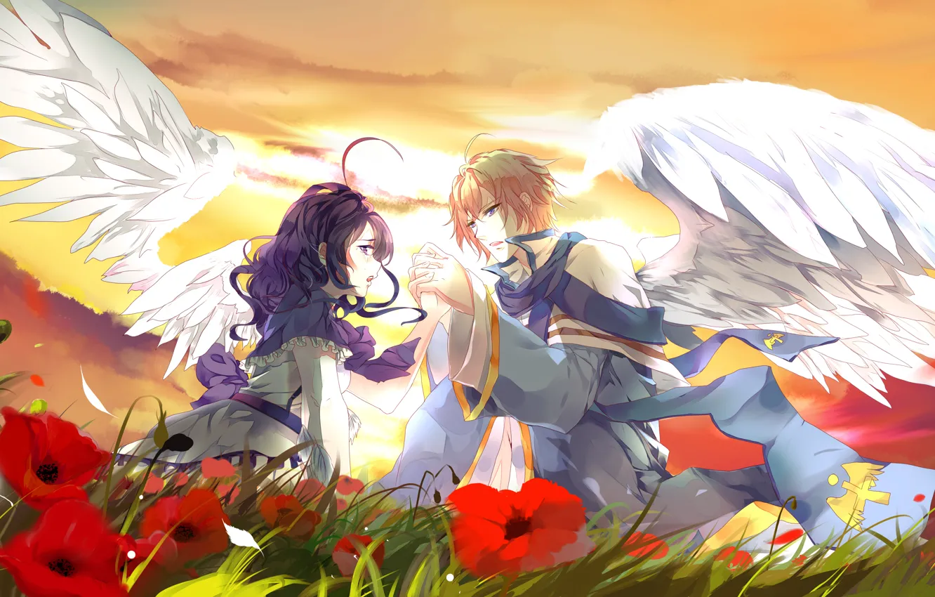 Photo wallpaper girl, sunset, flowers, glade, wings, guy, Two, lovers