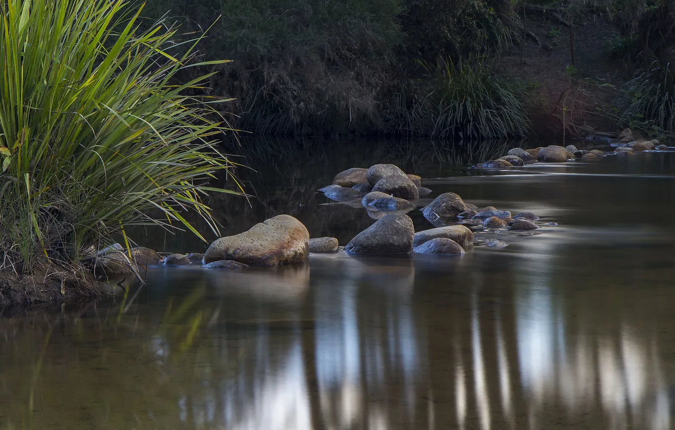 Photo wallpaper grass, lake, stones, pond