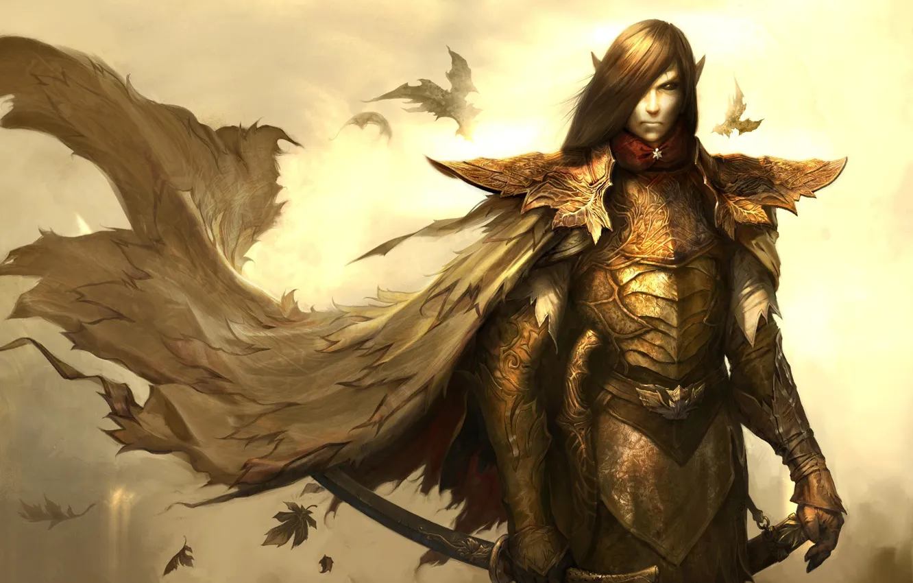 Photo wallpaper elf, Disciples 3, Renaissance