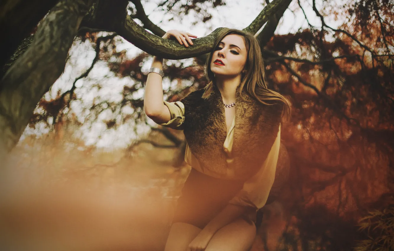 Photo wallpaper eyes, trees, hair, lips, sexy, eyes, tree, lips