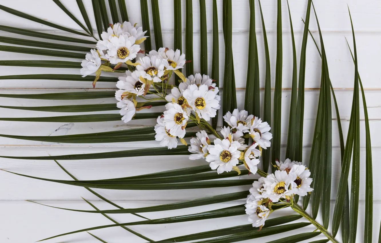 Photo wallpaper leaves, flowers, palm trees, background, chrysanthemum