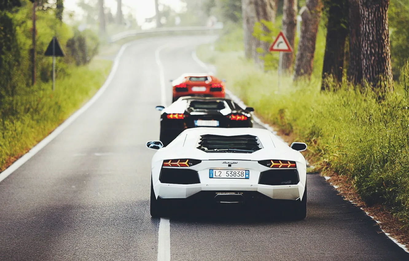 Photo wallpaper Lamborghini, Orange, Black, White, LP700-4, Aventador, Supercars, Back