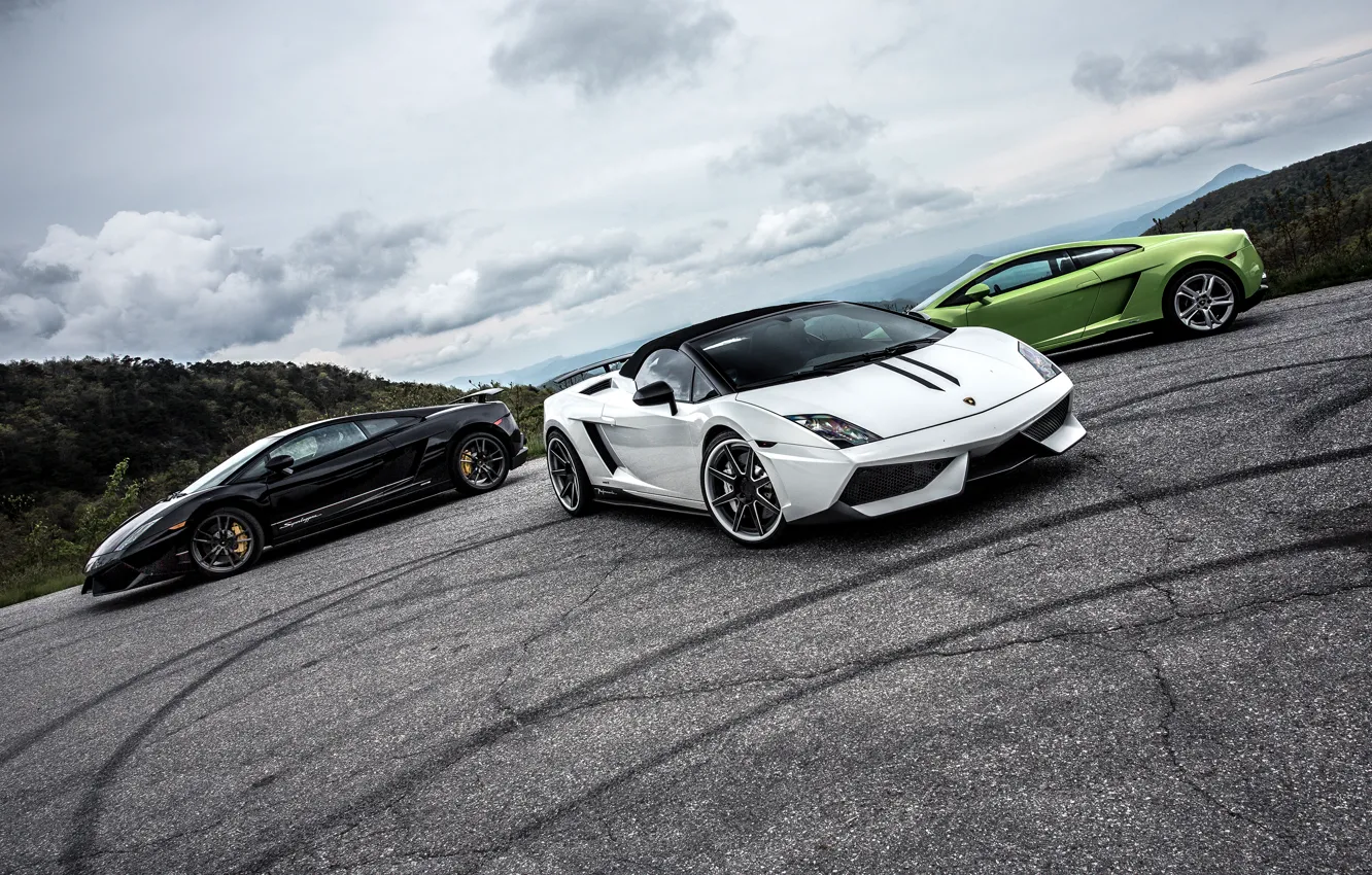 Photo wallpaper green, Lamborghini, white, gallardo, black, spyder, LP570-4, superleggera
