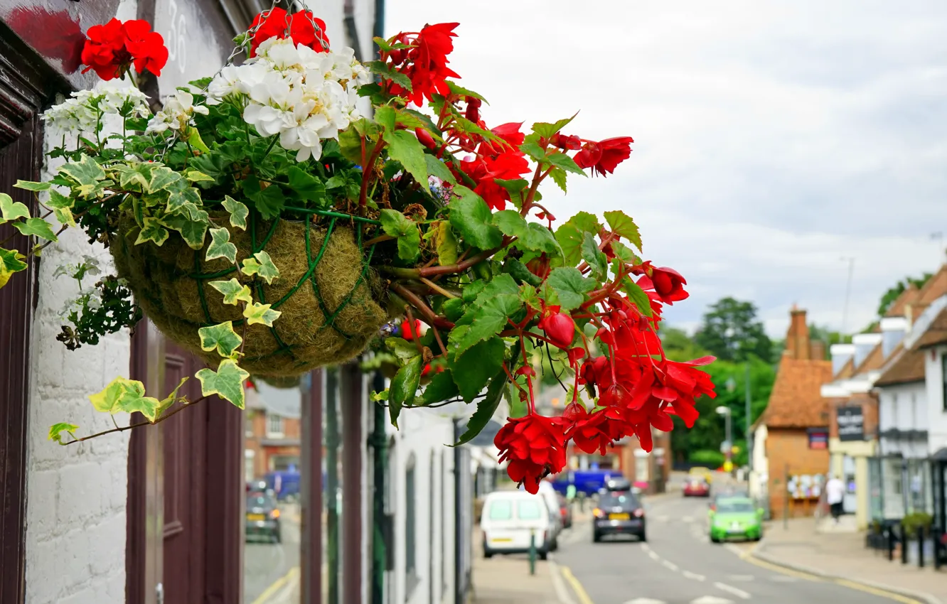Photo wallpaper summer, flowers, the city, street