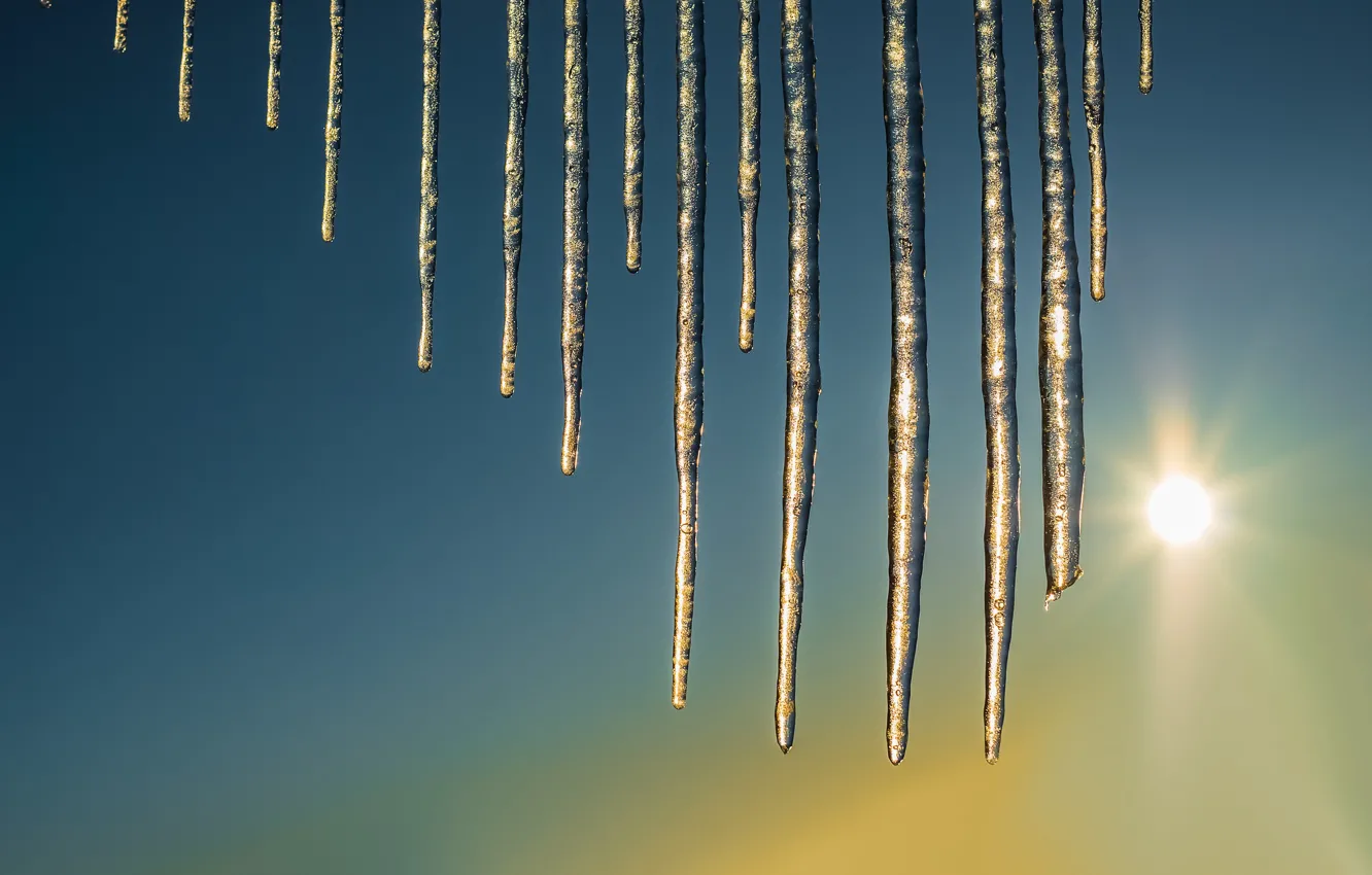 Photo wallpaper ice, spring, icicles