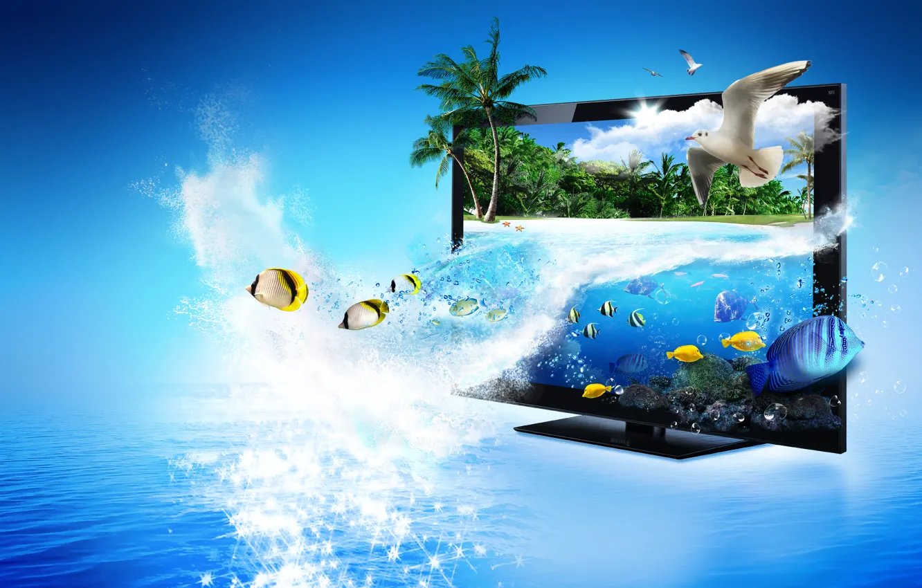 Photo wallpaper sea, glare, palm trees, seagulls, fish, monitor