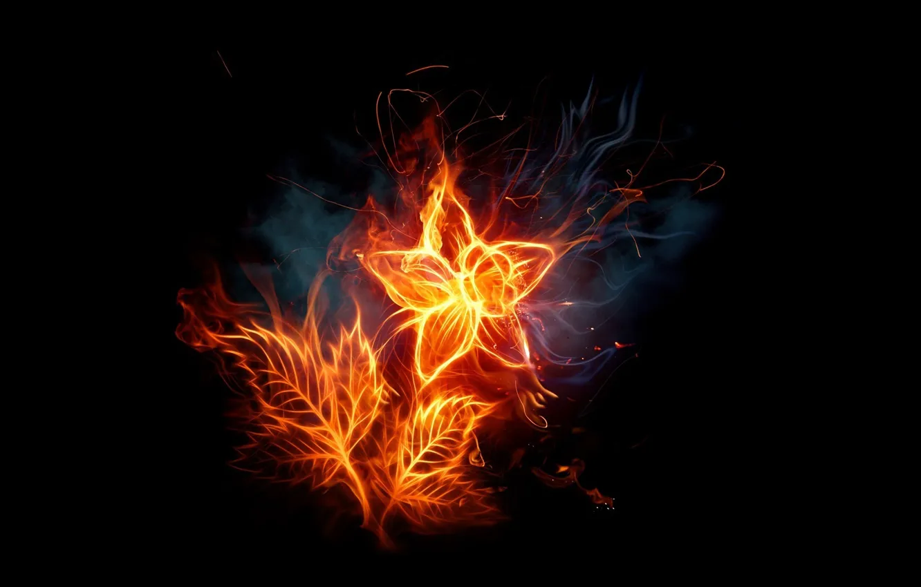 Photo wallpaper flower, dark, fire