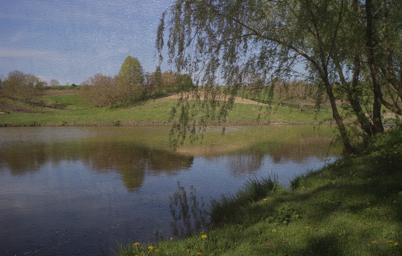 Photo wallpaper nature, IVA, became
