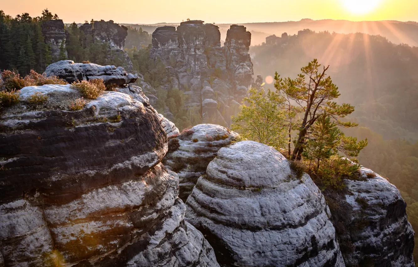 Photo wallpaper the sun, rays, mountains, nature, rocks, Germany, Saxon Switzerland, array