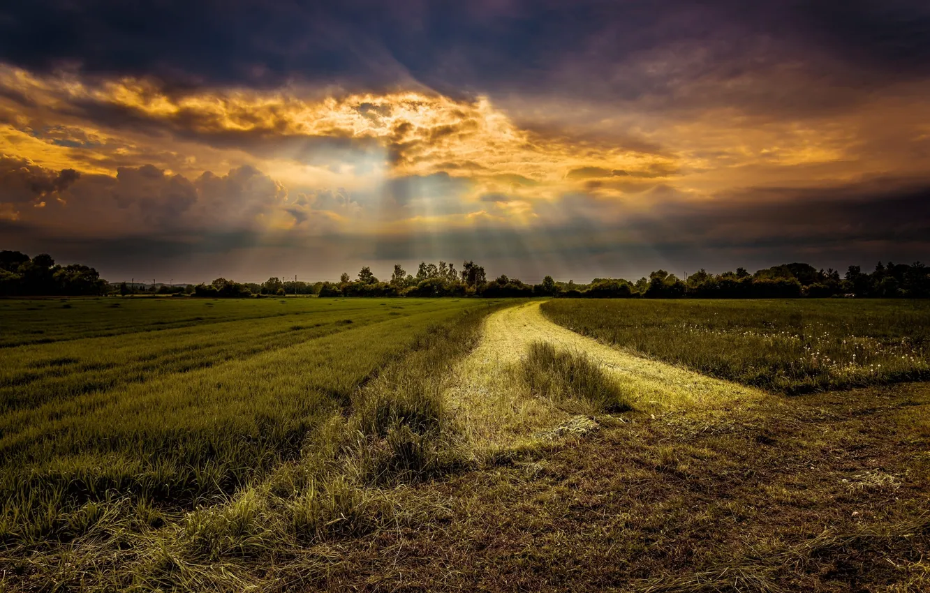Photo wallpaper road, field, rays, sunset