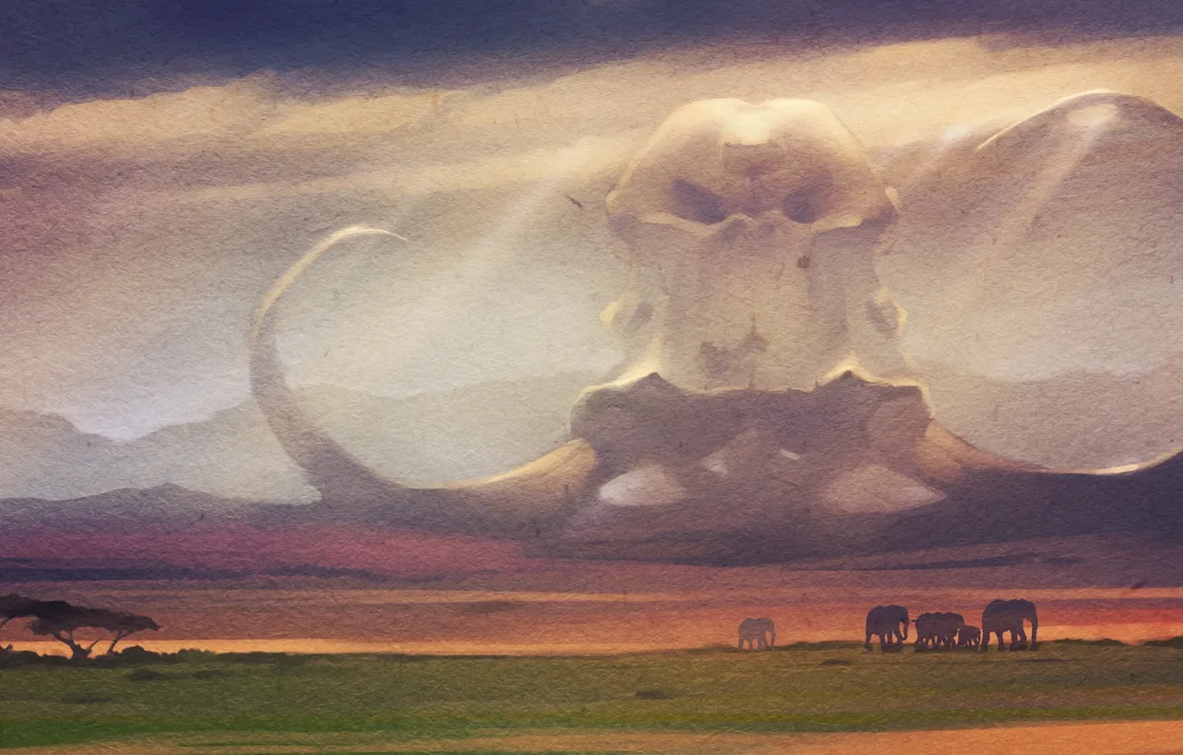 Photo wallpaper sake, Savanna, elephant, african