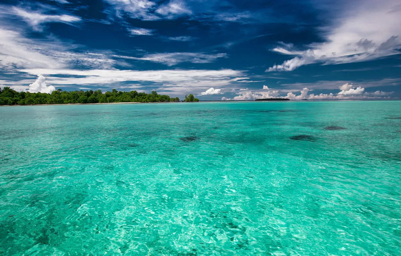 Photo wallpaper sea, beach, the sky, water, clouds, trees, tropics, blue