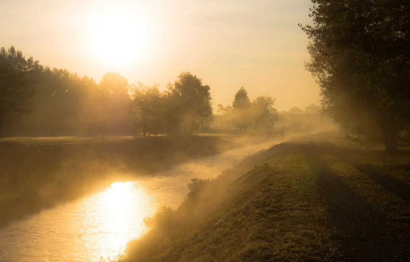 Photo wallpaper fog, morning, river, nature, shore