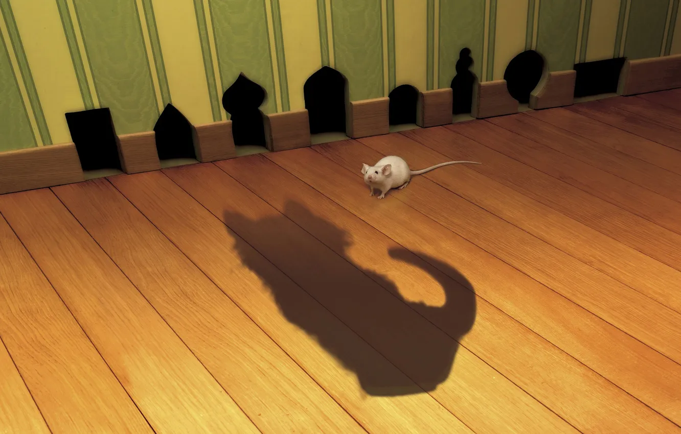 Photo wallpaper cat, shadow, mouse
