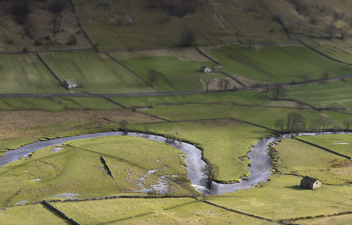 Photo wallpaper field, river, sheep, shadow, England, Yorkshire