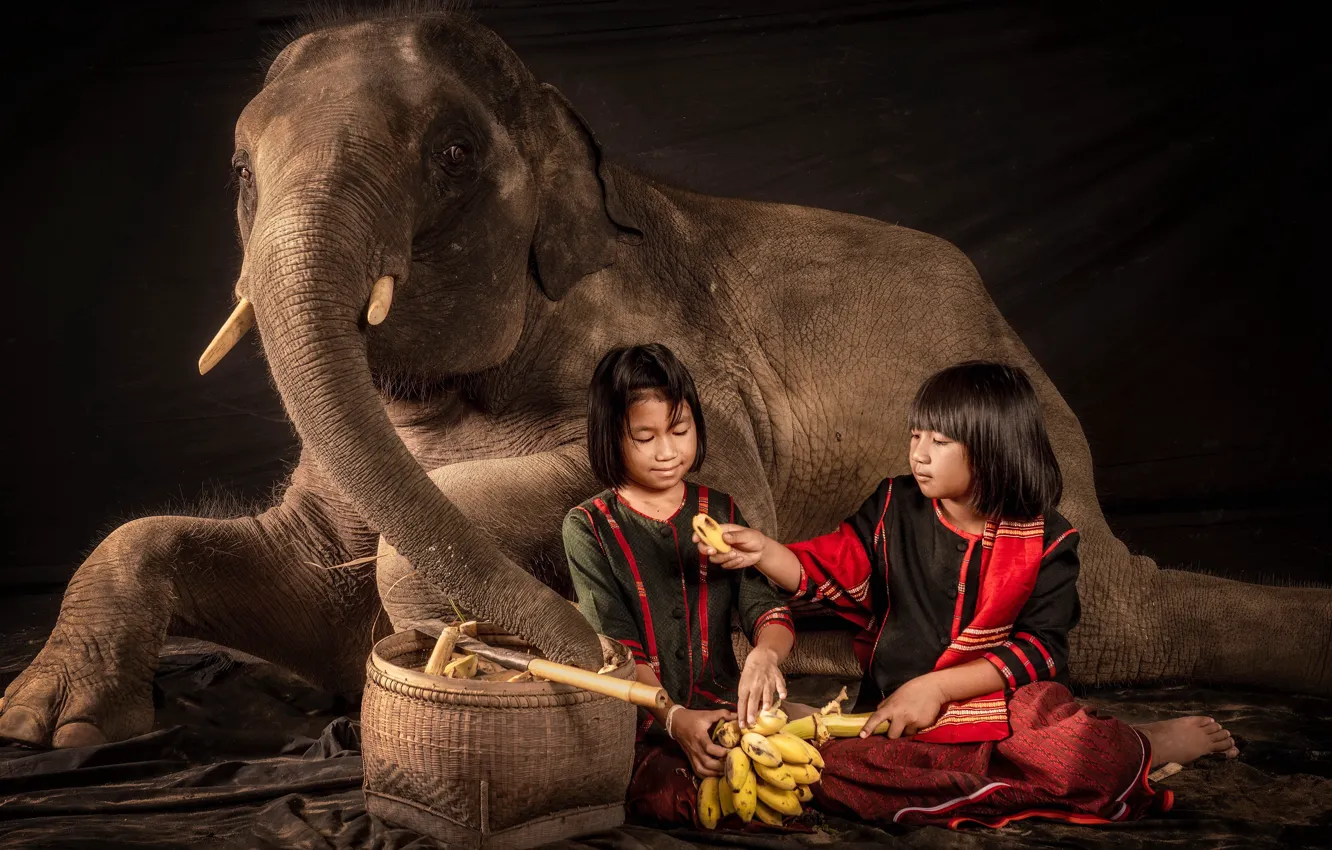 Photo wallpaper girls, elephant, the situation, bananas
