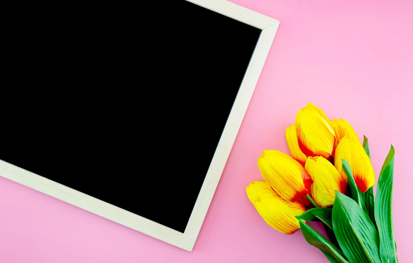 Photo wallpaper flowers, tulips, Board